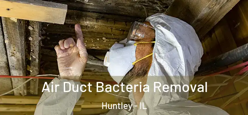  Air Duct Bacteria Removal Huntley - IL