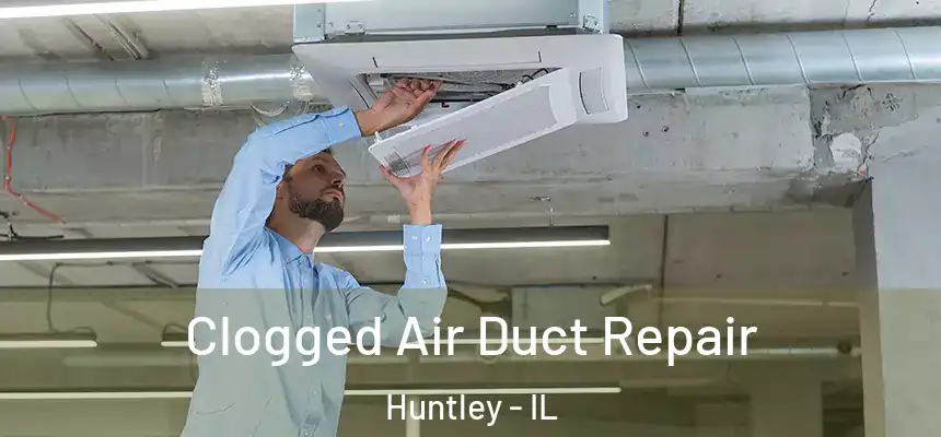  Clogged Air Duct Repair Huntley - IL