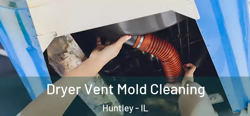  Dryer Vent Mold Cleaning Huntley - IL