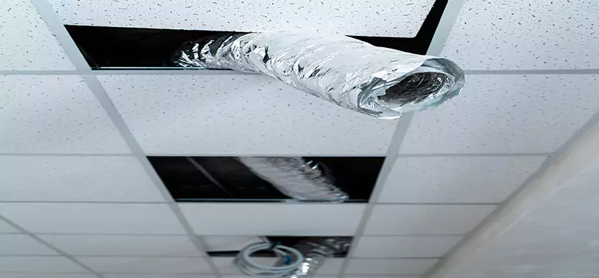 Our Air Duct Pet Hair Removal Services in Huntley, IL