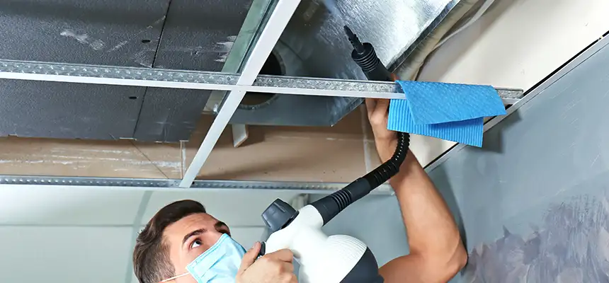 Our Air Duct Rodent Removal Services in Huntley, IL