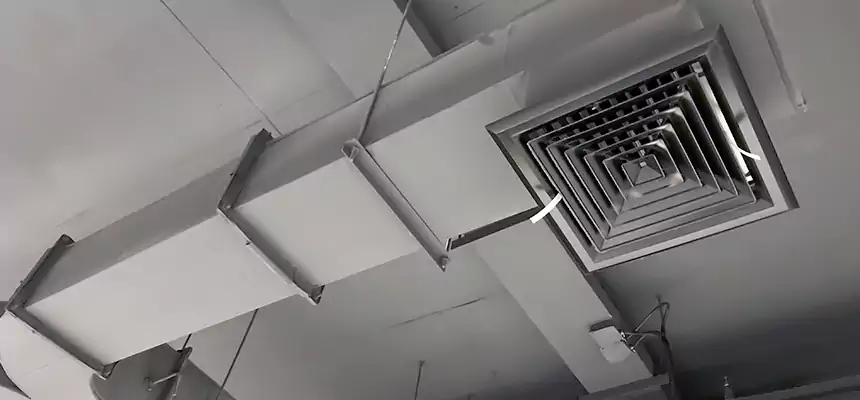 Restorative Allergy Relief Vent Cleaning – Coil, Blower & Housing Detail in Huntley