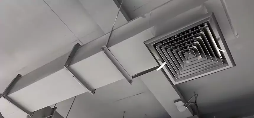 Our Pest Removal From Ducts Services in Huntley, IL