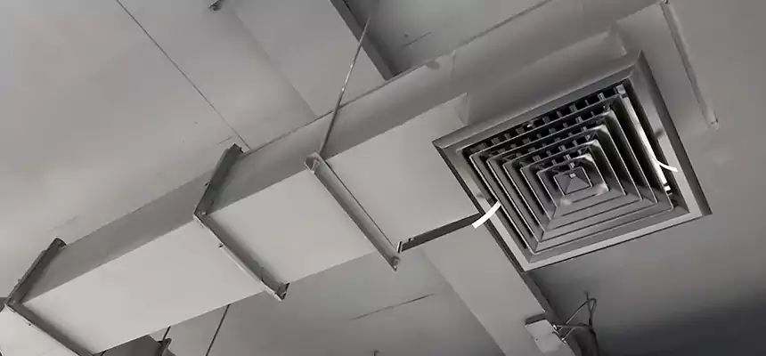 Our Rodent Droppings In Vents Services in Huntley, IL