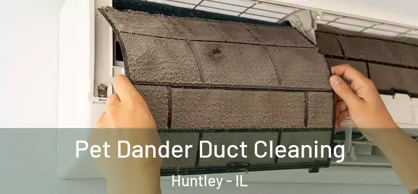  Pet Dander Duct Cleaning Huntley - IL