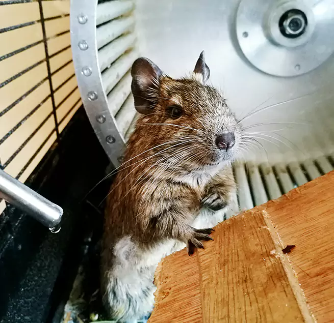 Why Homeowners & Businesses Trust Us Huntley, IL